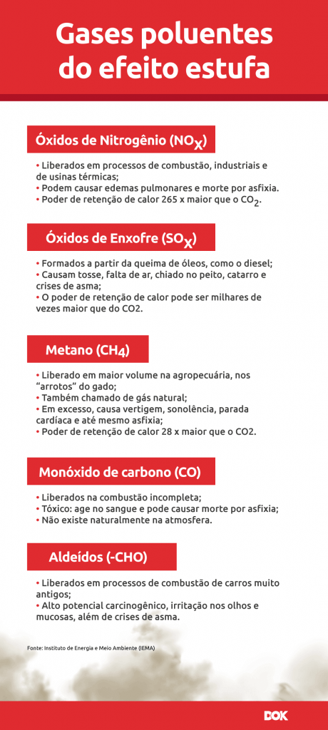 Infográfico sobre gases poluentes do efeito estufa | DOK Despachante