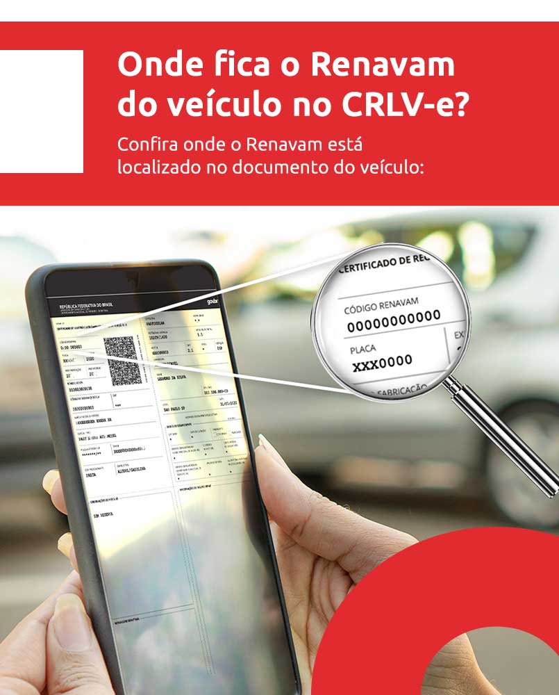 Infográfico sobre Renavam do Veículo - DOK Despachante.