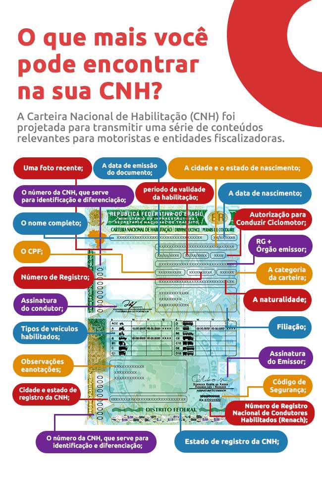 Infográfico sobre o que você pode encontrar na sua CNH | DOK