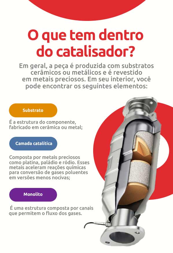 Infográfico sobre o que tem dentro do catalisador | DOK