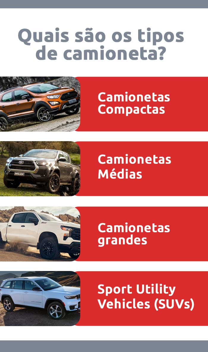 Infográfico sobre quais são os tipos de camioneta | DOK