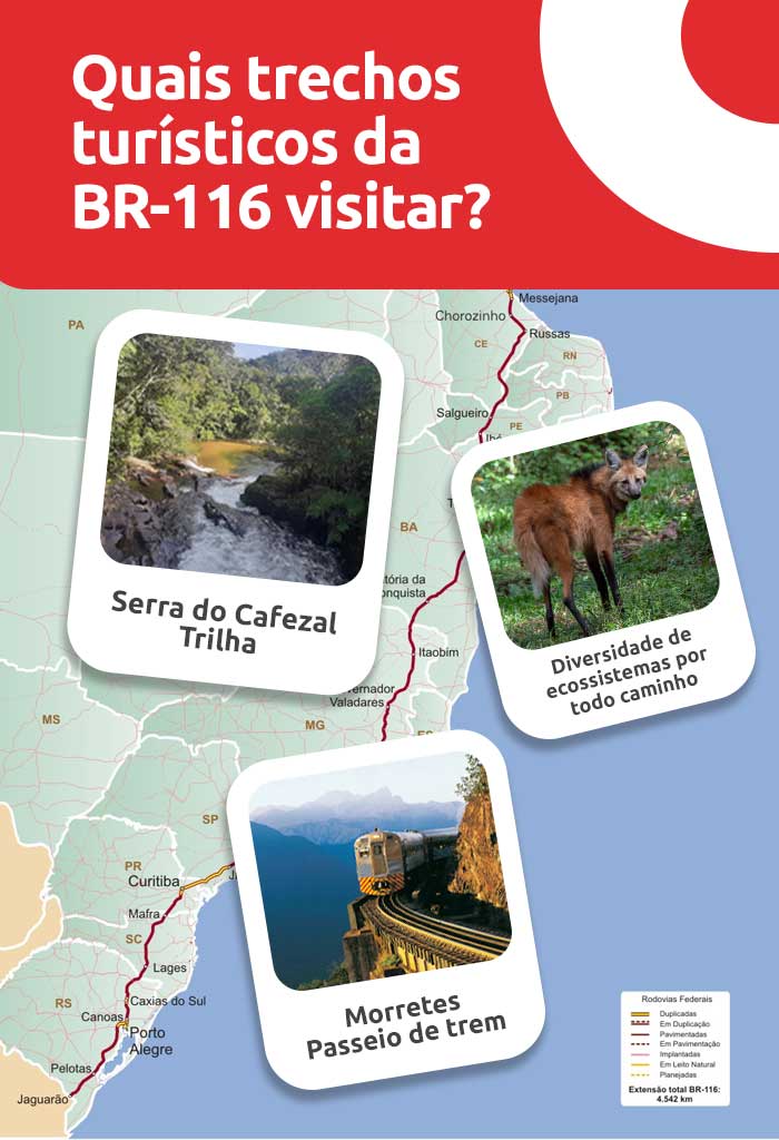 Infográfico sobre quais trechos da BR-116 visitar | DOK