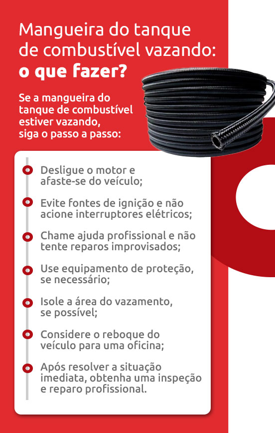 Infográfico sobre mangueira do tanque de combustível vazando: o que fazer | DOK